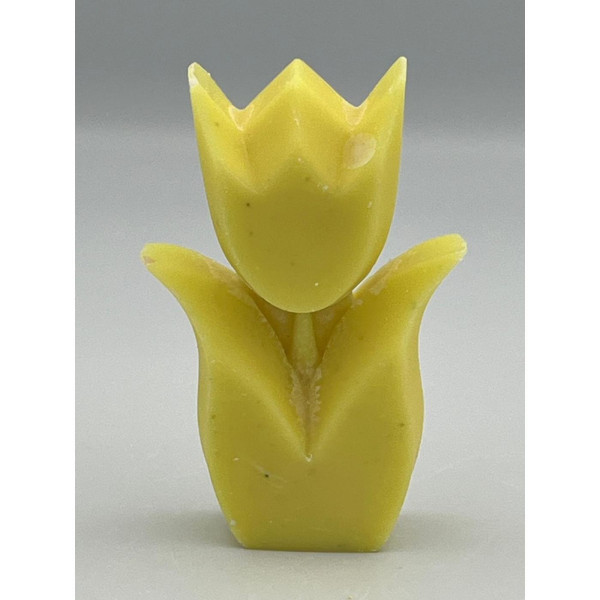 Tulp geur Pina Colada