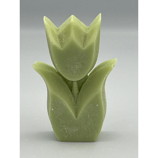 Tulp geur Cucumber