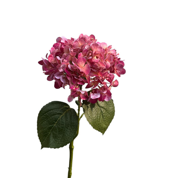 Hortensia real touch 75cm mauve