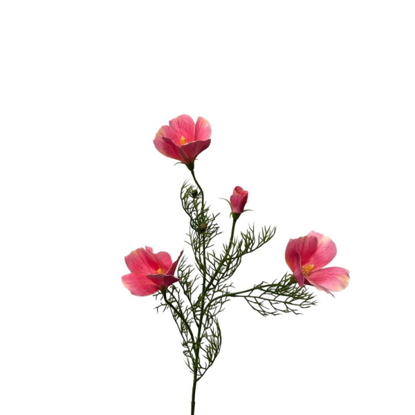 Kunstbloem hibiscus spray 68cm lichtroze