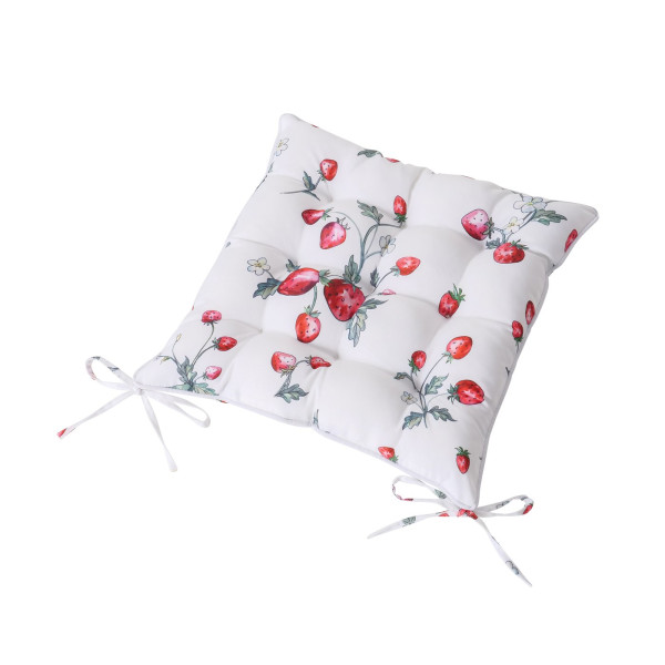 Zitkussen Aardbei 40cm