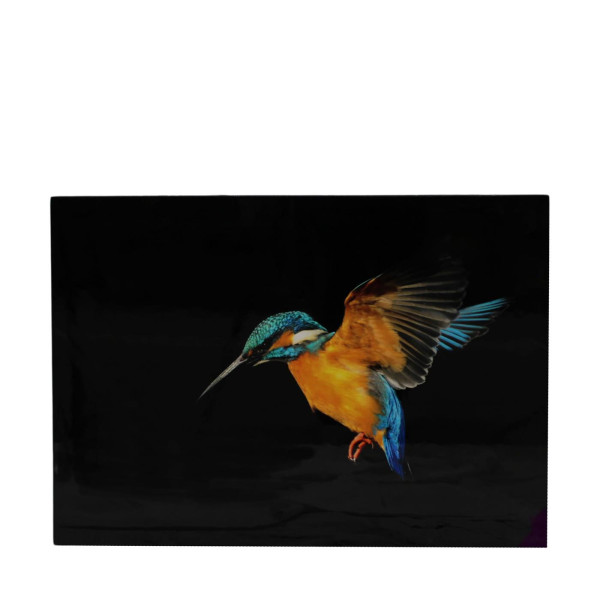 Muurkunst ijsvogel canvas 58x2,5x78cm