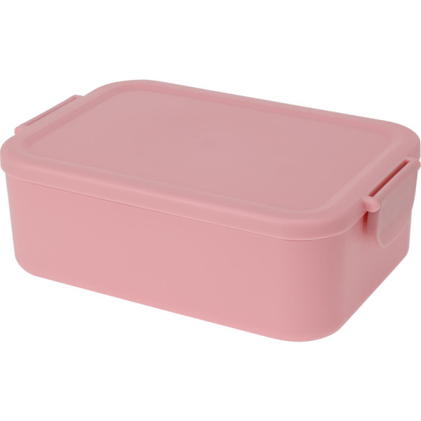 Lunchbox kunststof met clips 20x14x7cm