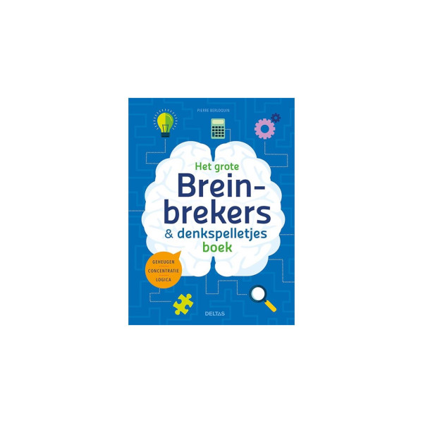Het grote breinbrekers boek