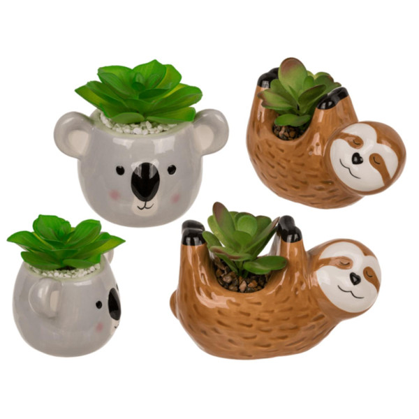 Vetplant in pot, luiaard of koala