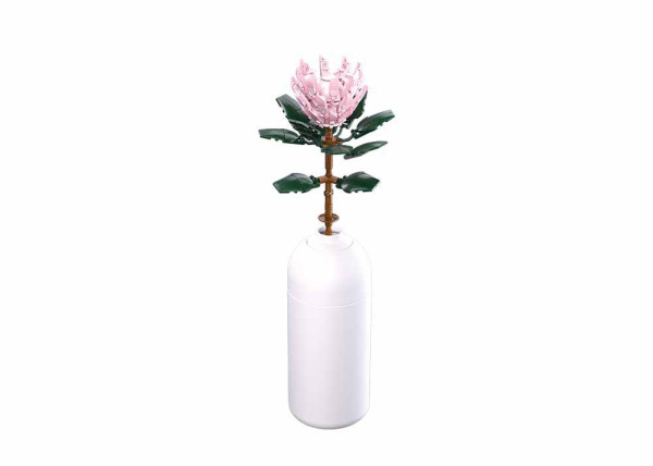 Sluban Reuzeprotea 219-delig