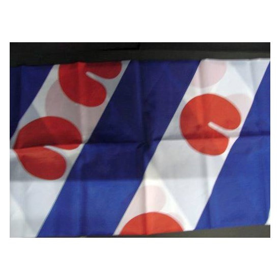Vlag Friesland 40x60cm