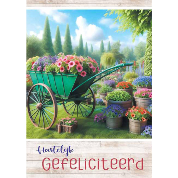 Wenskaarten Gefeliciteerd pak a 10 stuks