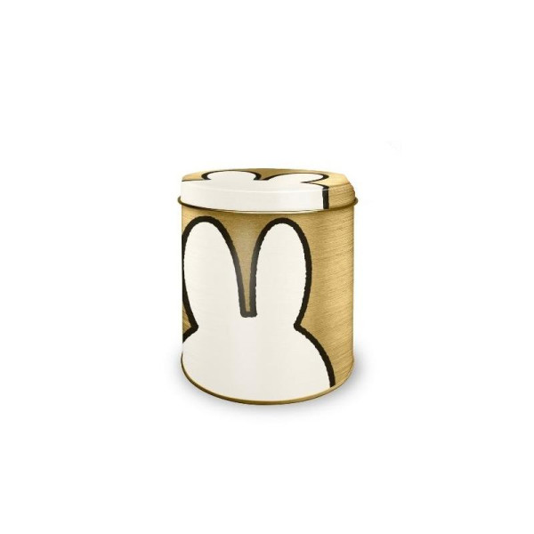 Bewaarblik Nijntje goud Ø10xh11,5cm