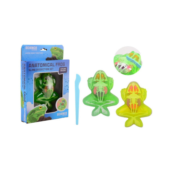Johntoy Science kikker anatomie slijm